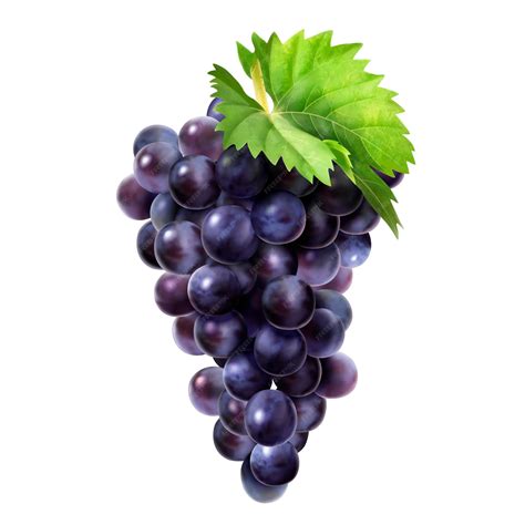 Grapes Ki Image