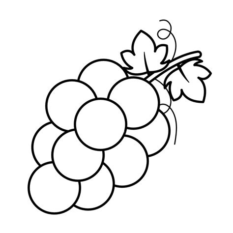 Grapes Line Drawing