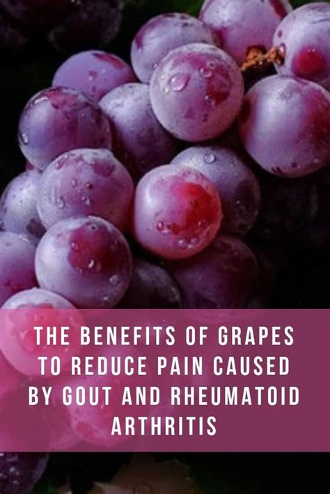 Grapes On Gout