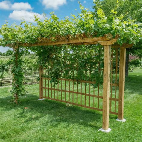 Grapevine Trellis Posts