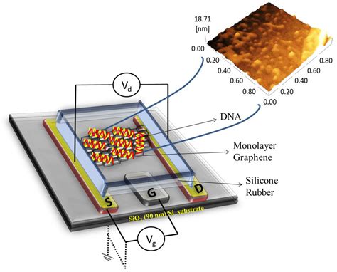 Graphene Based Transistor