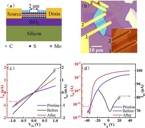 Graphene Mos2 Transistors
