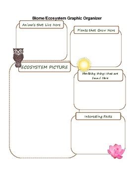 Graphic Organizer Ecosystems