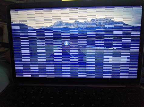 Graphics Card Causing Computer To Freeze
