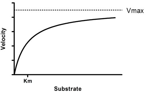 Graphpad Michaelis Menten