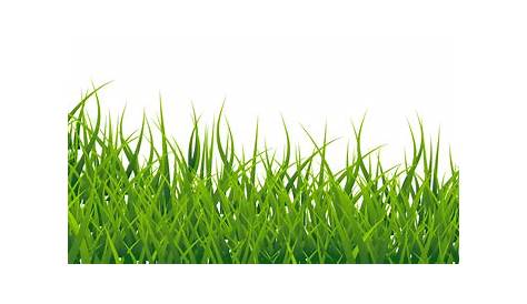 Line Of Grass PNG Image - PurePNG | Free transparent CC0 PNG Image Library