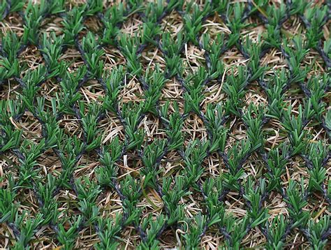 grass artificial turf hybrid