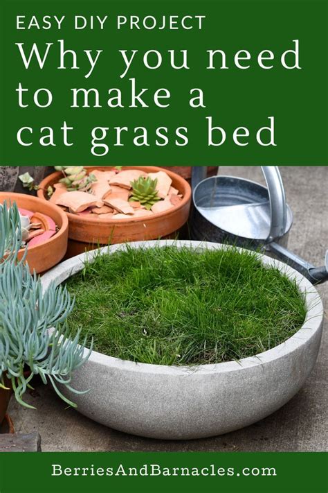 Grass Bed For Cats