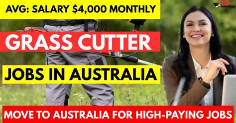 Grass Cutter Salary