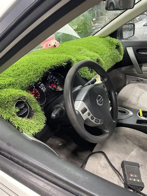 Grass Dashboard Cover