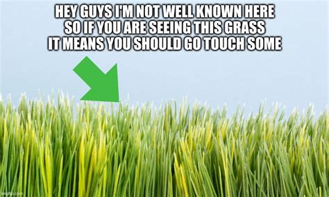 grass definition meme