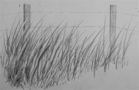 Grass Drawing