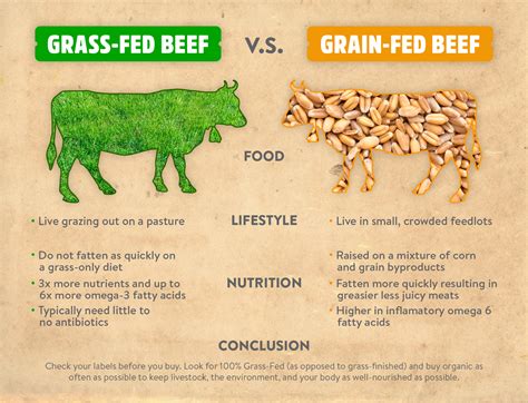 grass fed and grain fed
