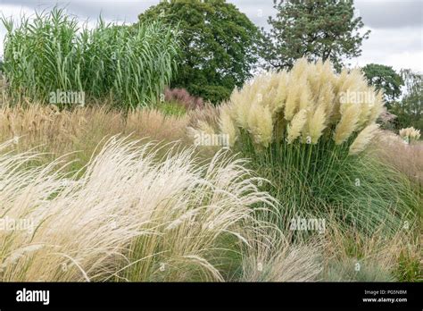 Grass Garden Kew