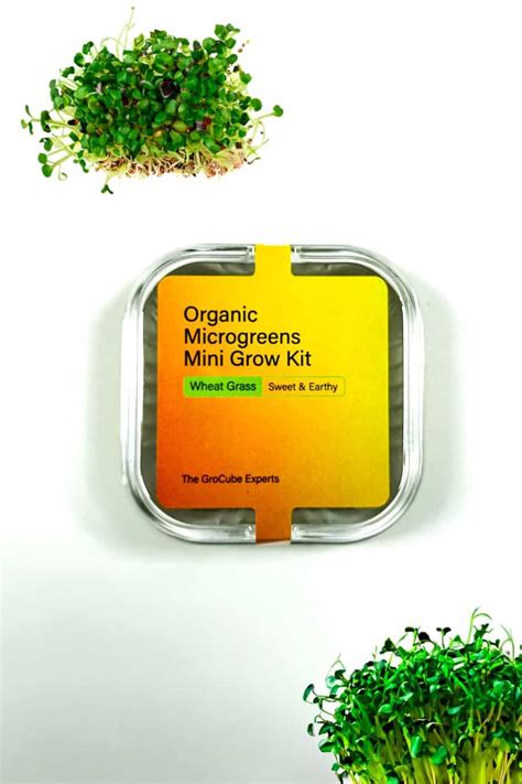 Grass Grow Kit