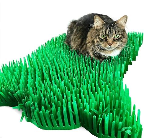 Grass Mat For Cats