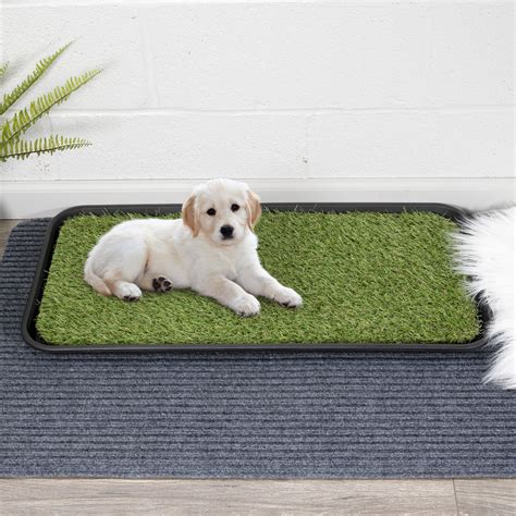 grass mat for dogs to pee on