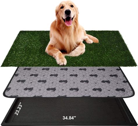 elyricsy.biz:grass mat for dogs to pee on