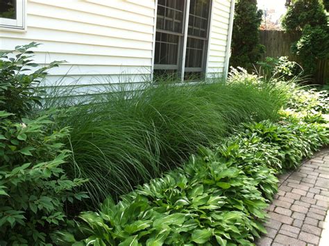Grass Mats Plants