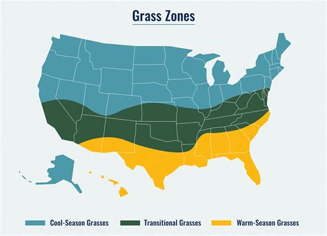 Grass Seed By Zip Code