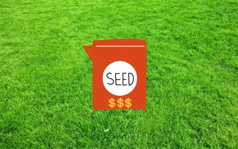Grass Seed Expensive