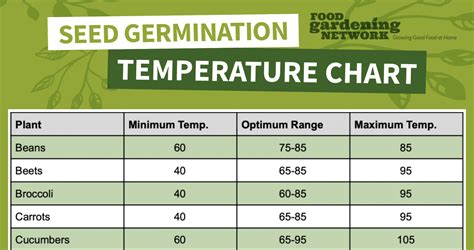 Grass Seed Temperature For Germination