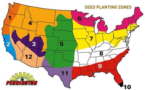 Grass Seed Zone 10