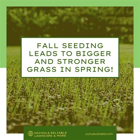 Grass Seeding Tips For Spring