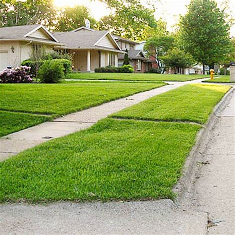 Grass Strip Design