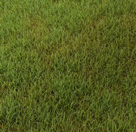 Grass Texture Blender