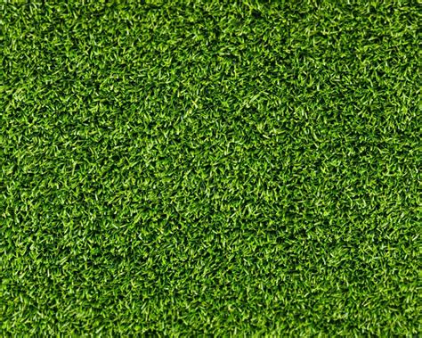 Grass Textured Wallpaper