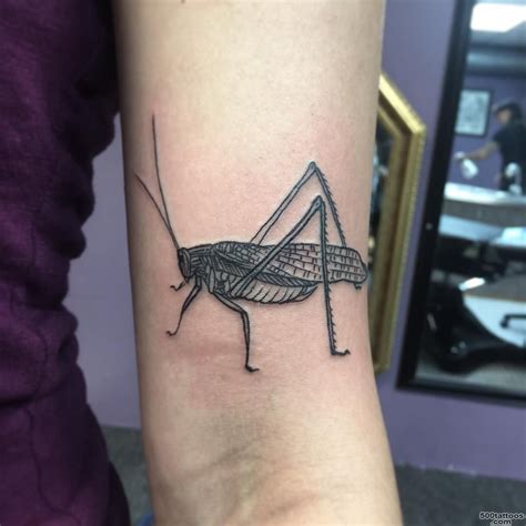 Revolutionary Grasshopper Tattoos Designs References