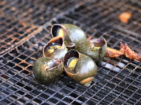 Grate Vietnamese Definition