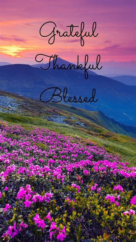 [52+] Grateful Wallpaper on WallpaperSafari
