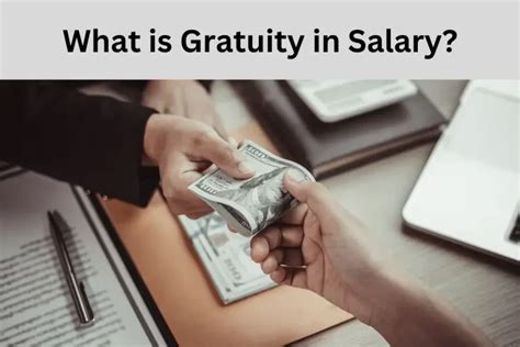 gratuity meaning in urdu with example for private sector