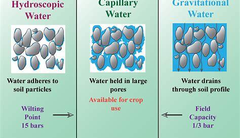 Gravitational Capillary Hygroscopic Water In A Field Capacity The Soil Contains A And