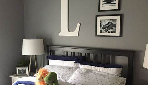 Gray And Navy Blue Bedroom For Teen Boy Color Schemes Home Inspiration