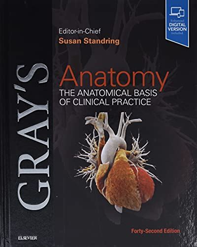 gray's anatomy latest edition