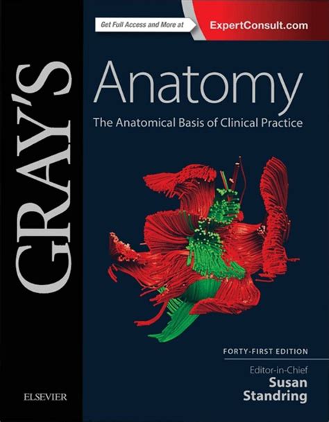 gray's anatomy medical book