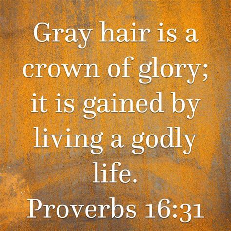 gray hair is wisdom bible