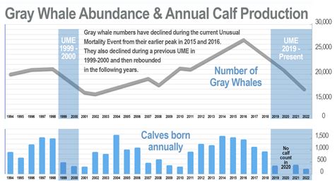 gray whale population 2022