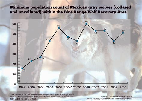 gray wolf population recovered