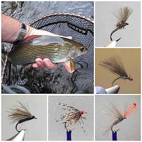 Here Grayling On The Fly 2023