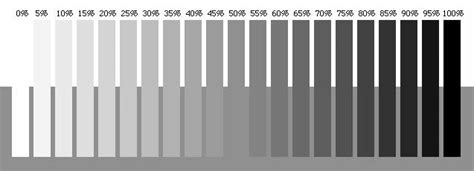 Grayscale Calibration Image