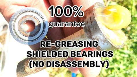 Greasing Sealed Bearing