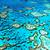great barrier reef australia ecosystem