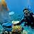 great barrier reef australia scuba diving