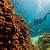 great barrier reef australia tourism