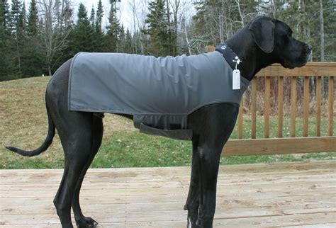 XL Dog Jacket w/ Hoodie / Great Dane Jacket/ XXL Handmade Dog