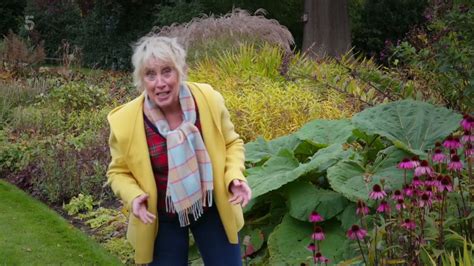 great british gardens carol klein youtube